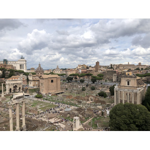 Picture Italy Rome Roman Forum 2024-09 71 - Tourist Places Roman Forum