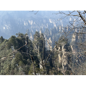 Picture China Zhangjiajie Tianzi Mountrain 2026-01 47 - Pictures Tianzi Mountrain