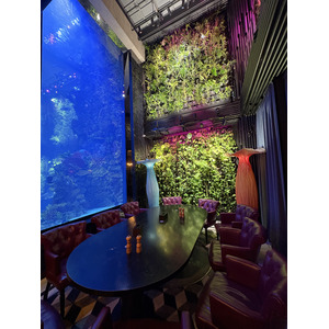 Picture Ukraine Lviv Restaurants 2024-10 3 - Perspective Restaurants