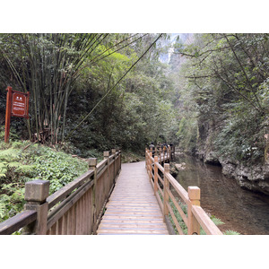 Picture China Zhangjiajie Grand Canion 2026-01 41 - Photos Grand Canion