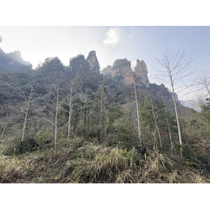 Picture China Zhangjiajie Tianzi Mountrain 2026-01 439 - View Tianzi Mountrain