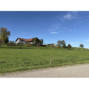 Picture Germany Surberg 2025-09 1 - Picture Surberg