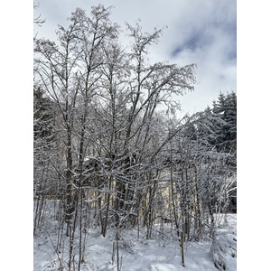 Picture France Praz sur Arly 2025-02 13 - Pictures Praz sur Arly