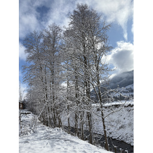 Picture France Praz sur Arly 2025-02 87 - Photographer Praz sur Arly