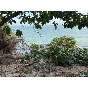 Picture Thailand Pattaya Oxygen Restaurant 2024-12 5 - Travel Oxygen Restaurant