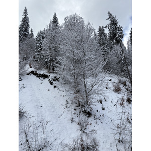 Picture France Praz sur Arly 2025-02 14 - Tourist Praz sur Arly