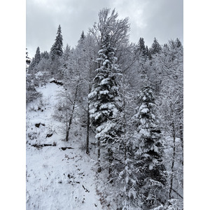 Picture France Praz sur Arly 2025-02 6 - Photos Praz sur Arly