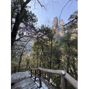 Picture China Zhangjiajie Tianzi Mountrain 2026-01 63 - View Tianzi Mountrain