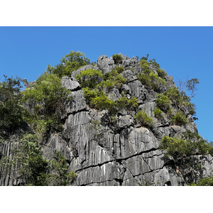 Picture Vietnam Ha Long Bay 2024-01 166 - Trail Ha Long Bay