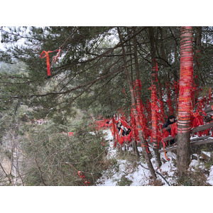 Picture China Zhangjiajie 2026-01 197 - Pictures Zhangjiajie