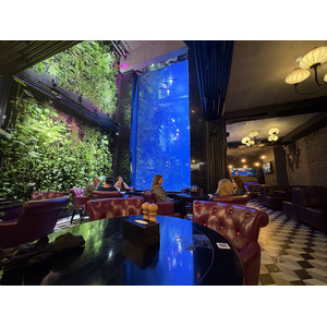 Picture Ukraine Lviv Restaurants 2024-10 18 - Pictures Restaurants