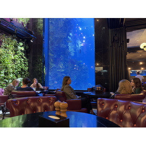 Picture Ukraine Lviv Restaurants 2024-10 140 - Photographer Restaurants