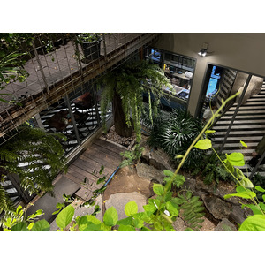 Picture Thailand Pattaya Perso 2023-12 1 - Car Rental Perso