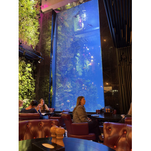Picture Ukraine Lviv Restaurants 2024-10 81 - Trips Restaurants