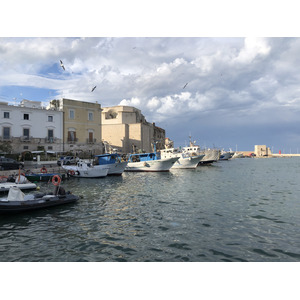 Picture Italy Trani 2024-09 123 - Car Rental Trani