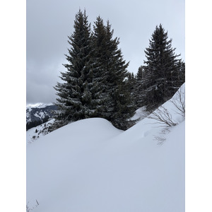 Picture France Praz sur Arly 2025-02 80 - Photographer Praz sur Arly