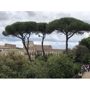 Picture Italy Rome Roman Forum 2024-09 81 - Views Roman Forum