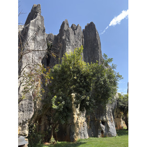 Picture China Shilin Stone Forest 2026-01 20 - Visit Shilin Stone Forest