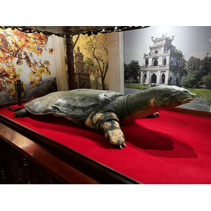 Picture Vietnam Hanoi Hoan Kiem Lake 2024-01 4 - Photographer Hoan Kiem Lake