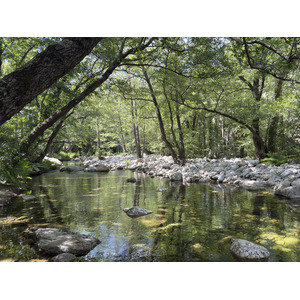 Picture France Corsica Corte 2025-06 13 - Trip Corte