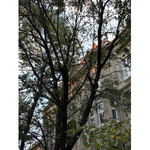 Picture Ukraine Lviv 2024-10 57 - Sight Lviv