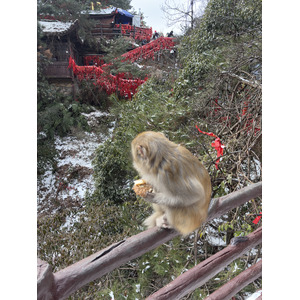 Picture China Zhangjiajie 2026-01 205 - Photos Zhangjiajie