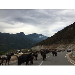 Picture France Corsica Valle d'alesani 2017-07 1 - Shopping Mall Valle d'alesani