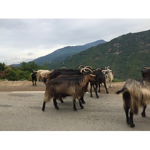 Picture France Corsica Valle d'alesani 2017-07 11 - Discover Valle d'alesani