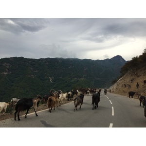 Picture France Corsica Valle d'alesani 2017-07 14 - Views Valle d'alesani