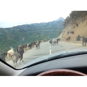 Picture France Corsica Valle d'alesani 2017-07 8 - Visit Valle d'alesani