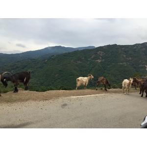 Picture France Corsica Valle d'alesani 2017-07 4 - Tourist Valle d'alesani