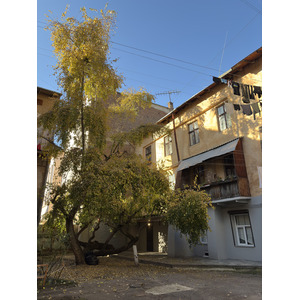 Picture Ukraine Lviv 2024-10 167 - Photos Lviv