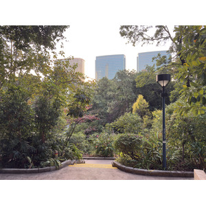 Picture Hong-Kong Tsim Sha Tsui 2026-01 20 - Photo Tsim Sha Tsui