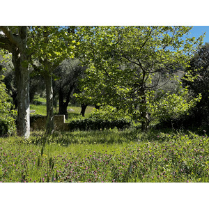 Picture France Vence 2024-04 34 - Tourist Vence