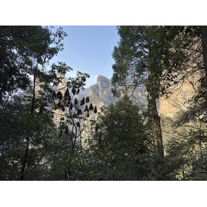 Picture China Zhangjiajie Tianzi Mountrain 2026-01 354 - Tourist Places Tianzi Mountrain