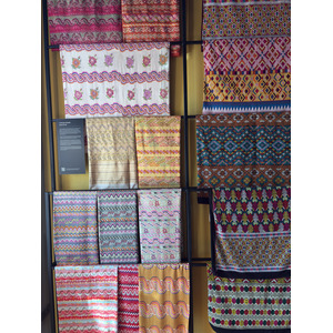 Picture Thailand Chiang Mai Kalm 2026-01 16 - Picture Kalm