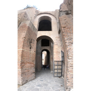 Picture Italy Rome Roman Forum 2024-09 111 - Photographer Roman Forum