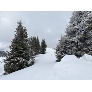 Picture France Praz sur Arly 2025-02 71 - Randonee Praz sur Arly