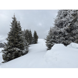 Picture France Praz sur Arly 2025-02 54 - Tourist Places Praz sur Arly