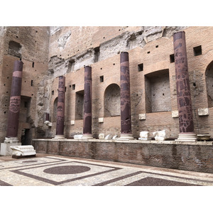 Picture Italy Rome Roman Forum 2024-09 83 - Discover Roman Forum