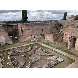Picture Italy Rome Roman Forum 2024-09 70 - Sight Roman Forum