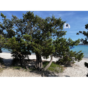 Picture France Corsica San Cyprien Bay 2024-05 9 - Sight San Cyprien Bay