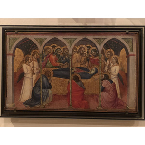 Picture Italy Rome Vatican Museum 2024-09 224 - Sight Vatican Museum