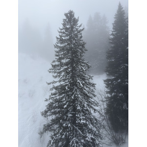 Picture France Praz sur Arly 2025-02 63 - Trip Praz sur Arly