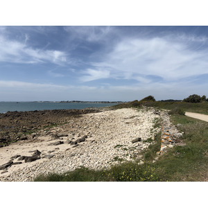 Picture France La Trinite-sur-Mer 2026-04 45 - Photographer La Trinite-sur-Mer
