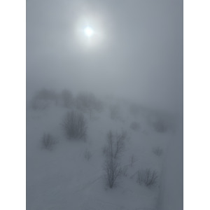 Picture France Praz sur Arly 2025-02 42 - Trail Praz sur Arly