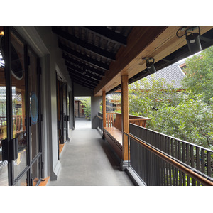 Picture Thailand Chiang Mai Kalm 2024-12 80 - Picture Kalm