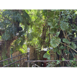 Picture Thailand Chiang Mai Faces restaurent 2026-01 2 - Discover Faces restaurent