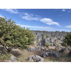 Picture China Shilin Stone Forest 2026-01 39 - Car Shilin Stone Forest