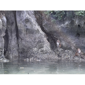 Picture Vietnam Ha Long Bay 2024-01 88 - Photographer Ha Long Bay